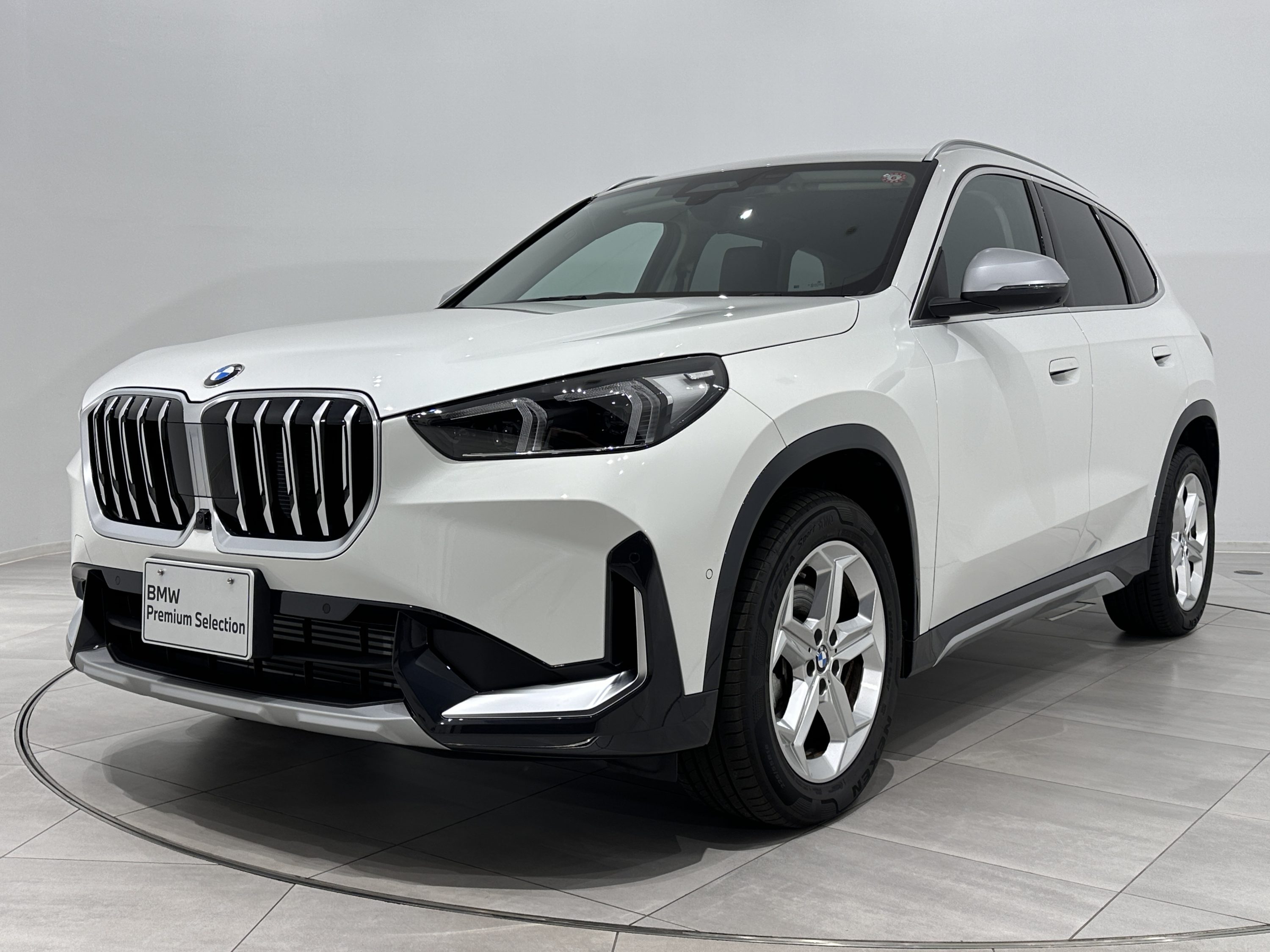 X1 xDrive 20i X-LINE